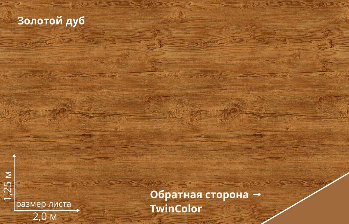 Золотой дуб TwinColor