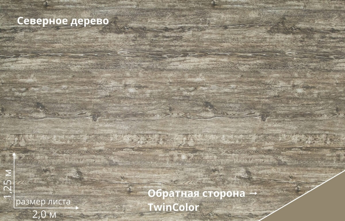 Северное дерево TwinColor