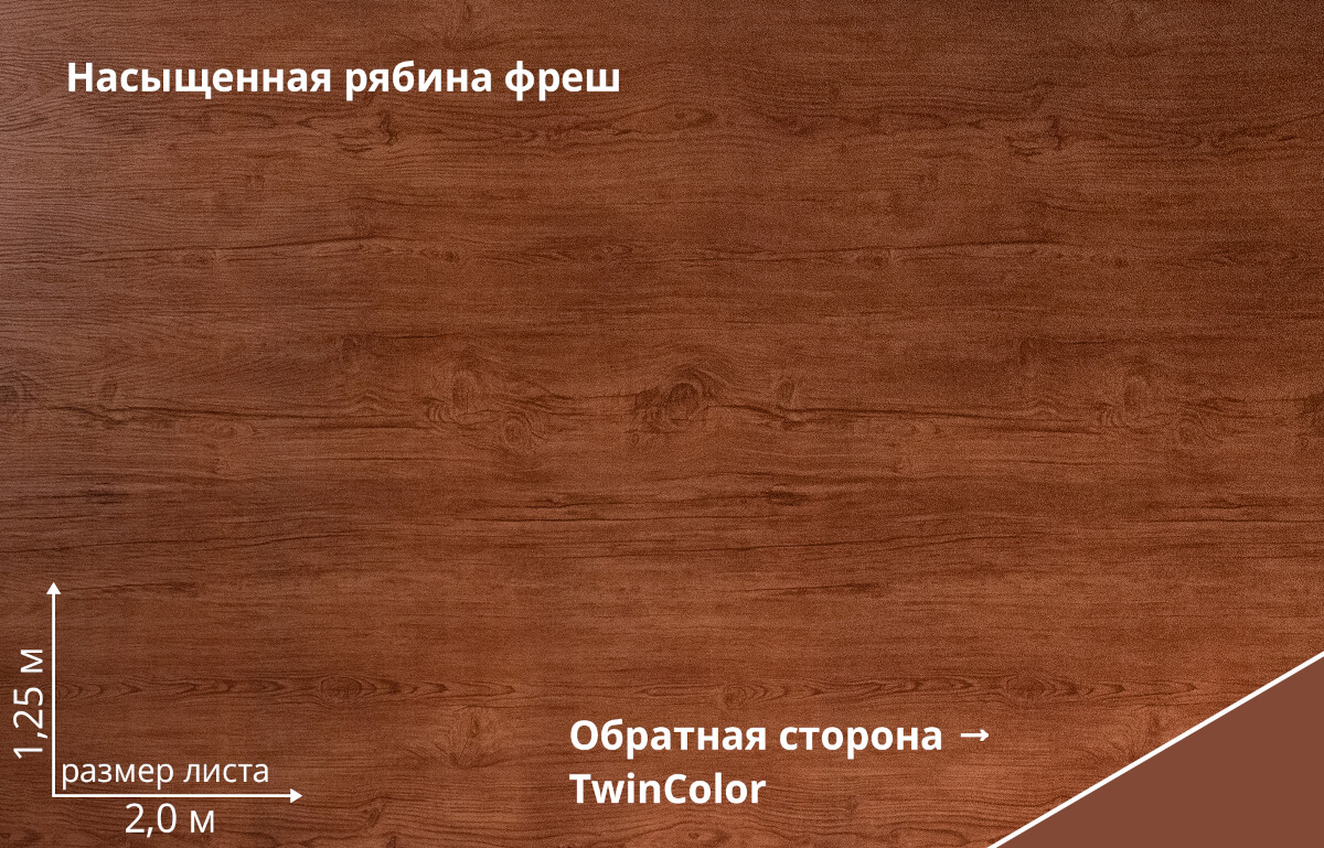 Рябина насыщенная Фреш TwinColor